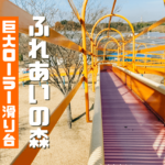 【阿久比町】長いローラー滑り台と砂場がキレイな「ふれあいの森」は”ホタル養殖”の管理された公園