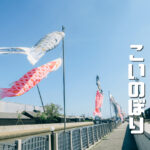 【こどもの日】半田運河のこいのぼりを見に行こう！駐車場・周辺休憩スポット
