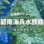 愛知県で水族館デビューなら「碧南海兵水族館」がおすすめ！