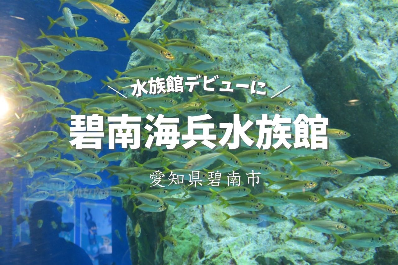 愛知県で水族館デビューなら「碧南海兵水族館」がおすすめ！