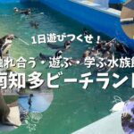 【体験型水族館】1日中遊べる！南知多ビーチランドへ行ってきた！