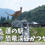 【道の駅】恐竜渓谷かつやま