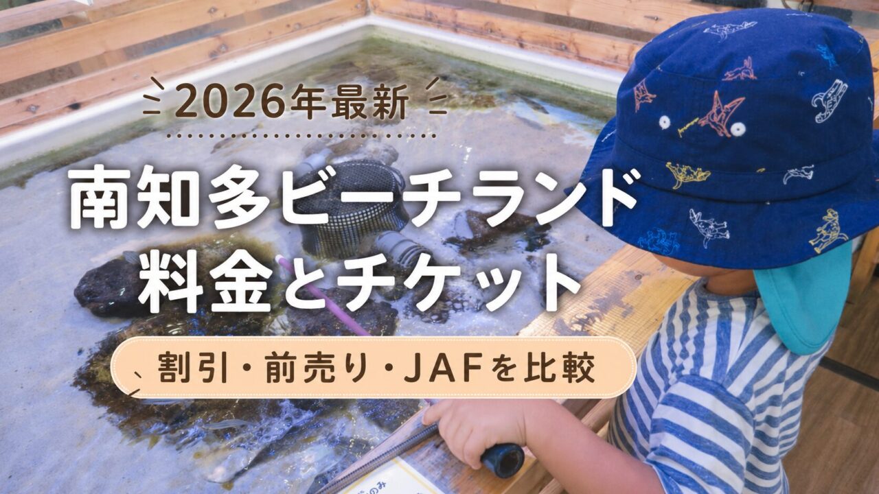 南知多ビーチランドのふれあい水槽を見る子どもと、料金・チケット・割引情報を示したアイキャッチ画像