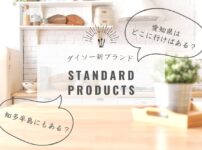 【愛知県知多半島にある？】100円ショップ「DAISO」の新しいブランド「Standard Products」へのアクセス