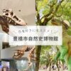 【豊橋市自然史博物館】子連れに役立つ愛知県の”化石・恐竜”スポット情報