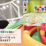 【口コミ】イオンモール常滑の室内遊び場で思いっきり体を動かす！キッズ・クレイジーバネットがオススメ！