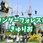 イオンモール常滑にある遊び場『キュリオ』とは？施設レビュー・駐車場