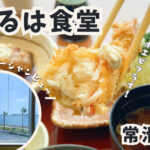 【常滑市】ジャンボエビフライが食べれる『まるは食堂』でランチ！駐車場・アクセス・レビュー