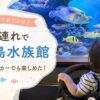 【子連れで竹島水族館】ベビーカーでも見やすい？1歳＆小学生と行った体験レビュー