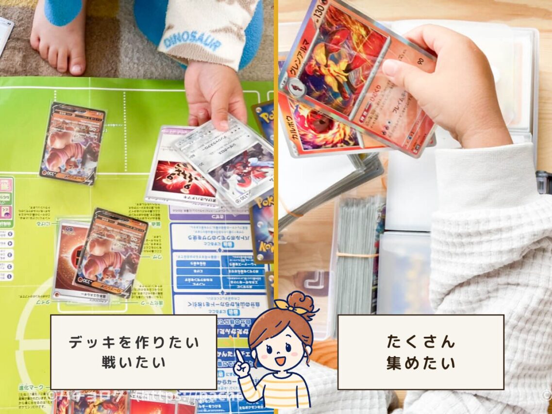 ポケモンカードを集めるか、対戦したいのかを表現した写真